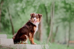 shutterstock_2324947517